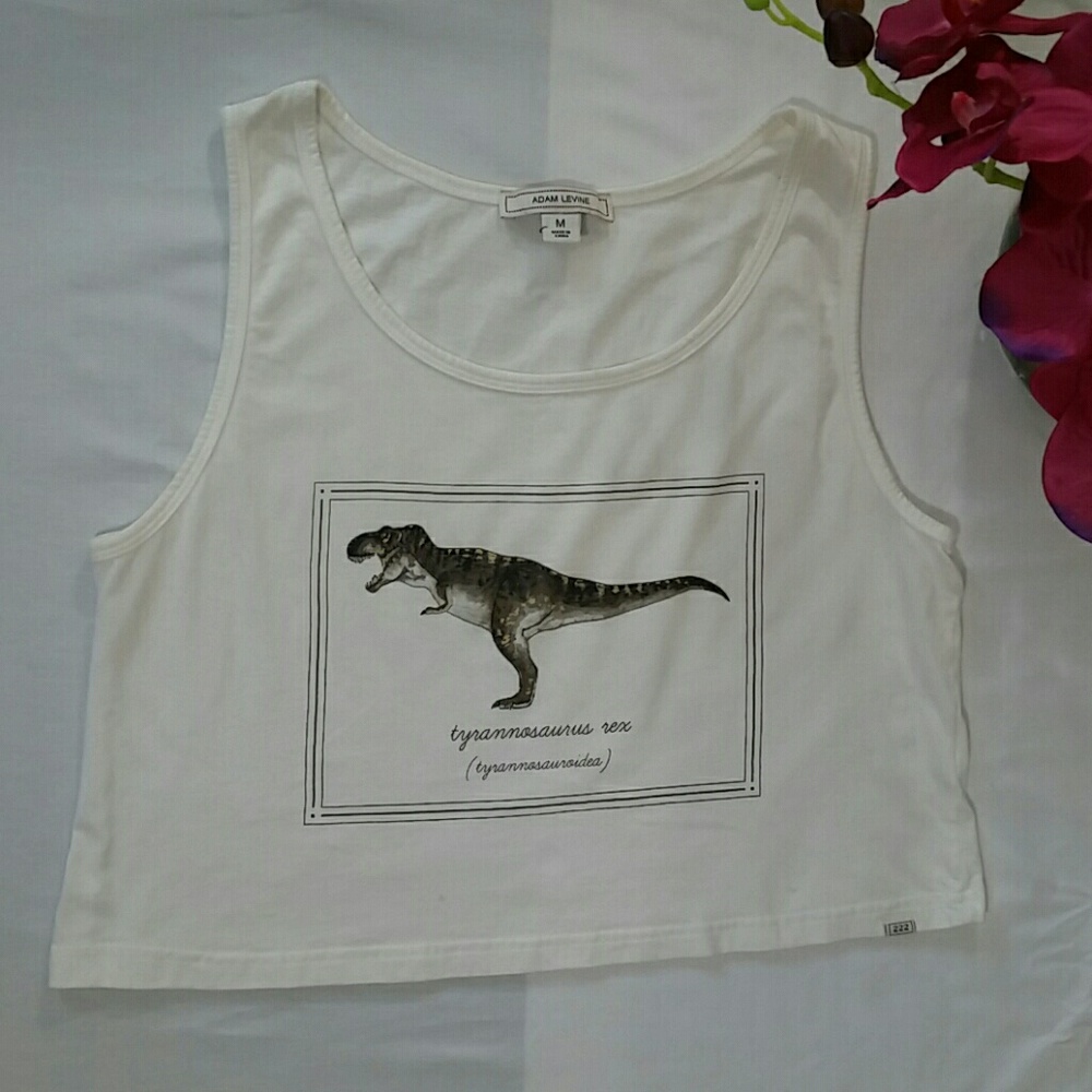 Tyrannosaurus Rex Crop Top